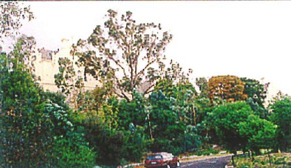 City of Darebin Heritage Review 2000  
