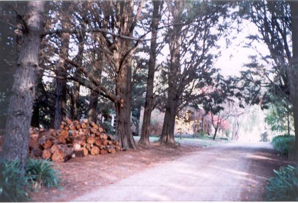 22495 Worrall - 4 Cat Jump Road, Donvalel