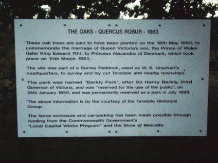 T11919 Quercus robur