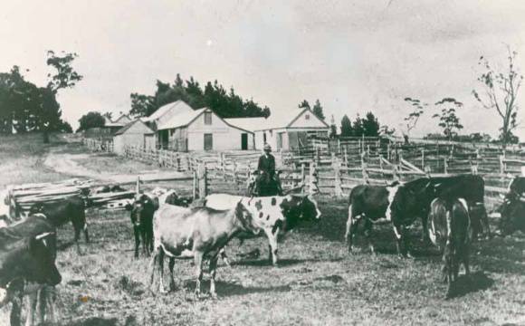 B4300 Pigeon Bank Farm Buildings 1920s