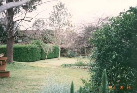 B0229 Tintern Garden
