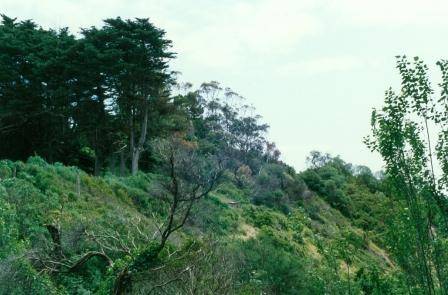 B6285 Marathon Landscape