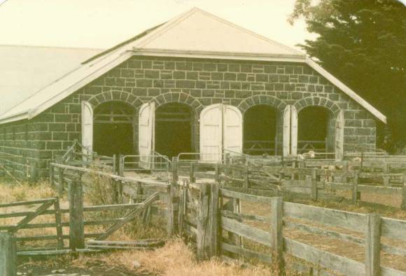 B1135 Woolshed