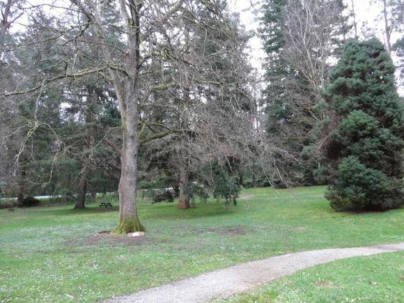 L10107 Black Spur - Fernshaw