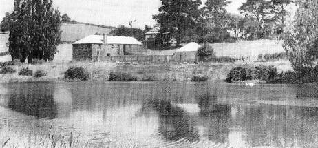 B3165 c1935 Buninyong Brewery.jpg