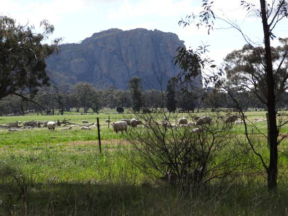 L10163 Mount Arapiles 