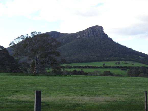 L10147 The Grampians Mt Sturgeon 