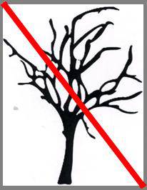 Trees removed