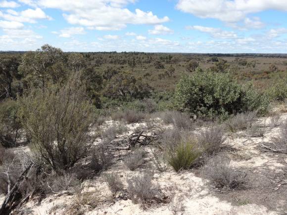 L10162 Little Desert - Pomponderoo Hill 