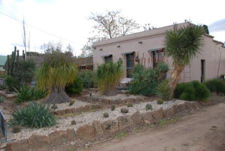 G13067 Dawson's Cactus Garden