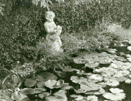 B1249 Titanga Lilypond