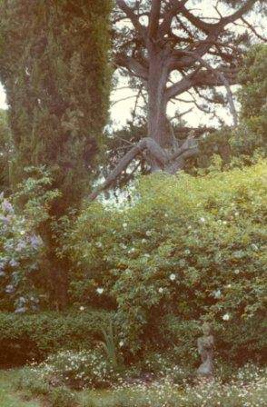 B1249 Titanga Garden