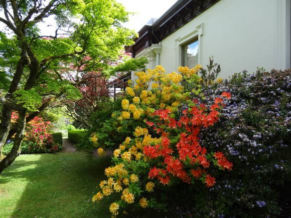 G13102 Duneira side garden