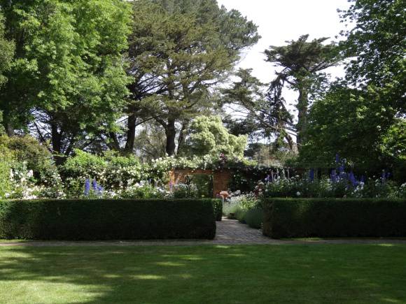 G13130 Bolobek rose garden