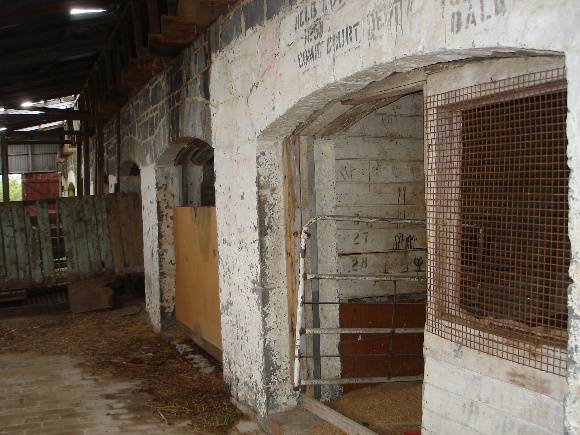Summer Hill large cow shed west side KJ 10 July 07  65 