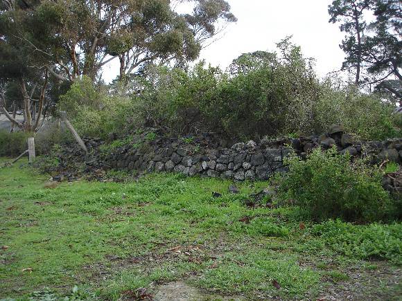 Summer Hill small cow shed site KJ 10 July 07  4 