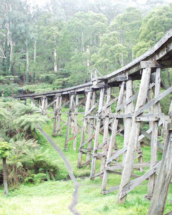 B2960 Puffing Billy Trestle Bridge 