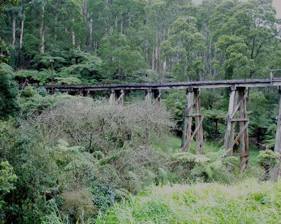 B2960 Puffing Billy Trestle Bridge 