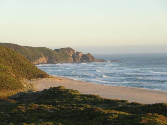 L10177 Great Otway National Park Johanna beach 