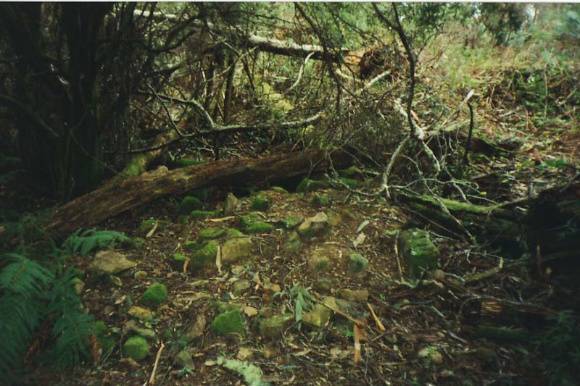 Lone Grave.jpg