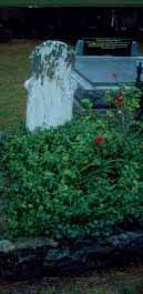 B6819 Westgarthtown Cemetery