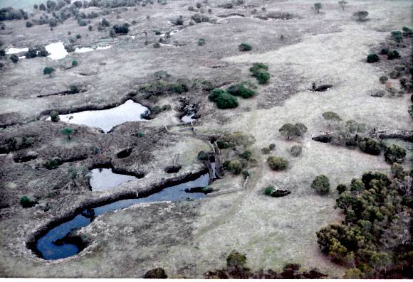 Bessiebelle Sheepwash.jpg