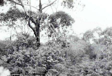 L10081 Sandy Point