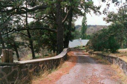 B7166 Farm Vigano Driveway