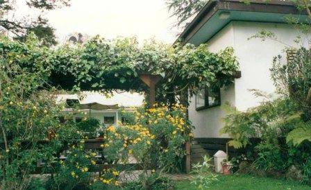 B7141 Studio