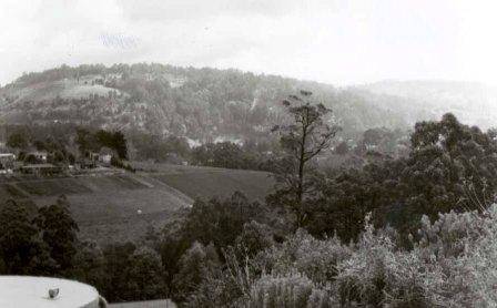 L10098 Dandenongs
