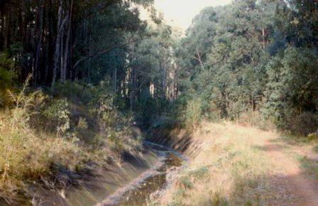 L10109 The Springs