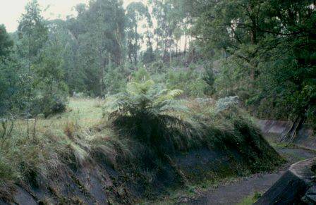 L10109 The Springs