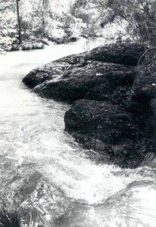 L10113 Little Falls Creek