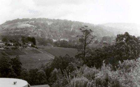 L10098 Dandenong Ranges