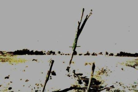 B3878 Whip Mining Apparatus