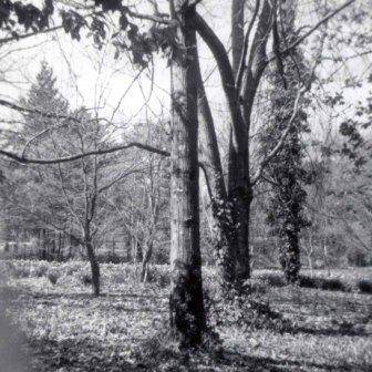 B10133 Macedon Ranges