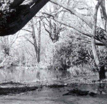 B10133 Macedon Ranges