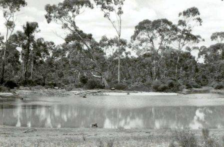 L10130 Artificial Waterhole