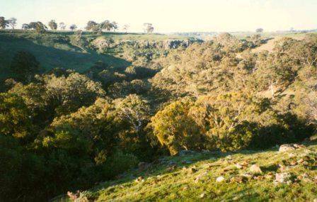 L10127 Barfold Gorge
