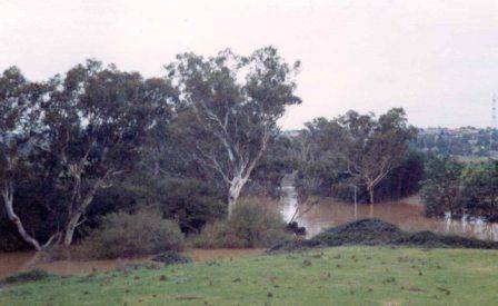 L10125 Yarra Valley