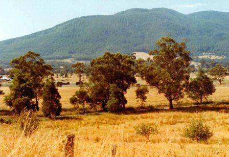 L10125 Yarra Valley