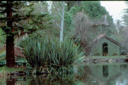 B0005 Ripponlea Gardens & pond