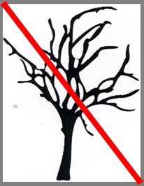 T11944 Tree demolished/removed