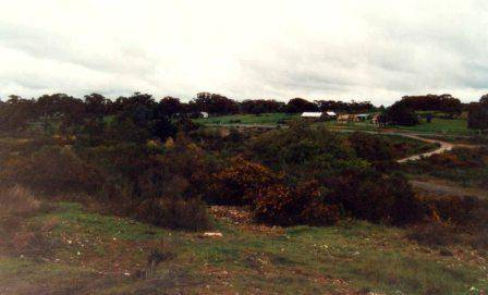 L10136 Mt Tarrengower & Nuggetty Ranges
