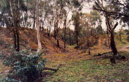 L10136 Mt Tarrengower & Nuggetty Ranges
