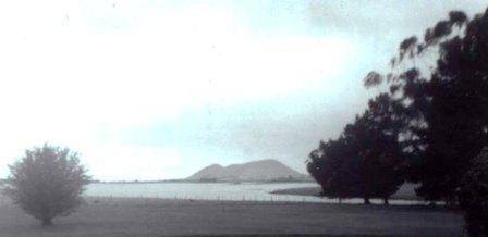 L10154 Mount Elephant
