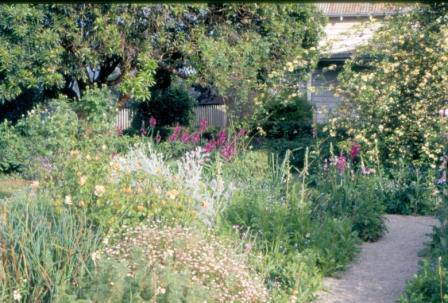 B3517 Gulf Station Garden