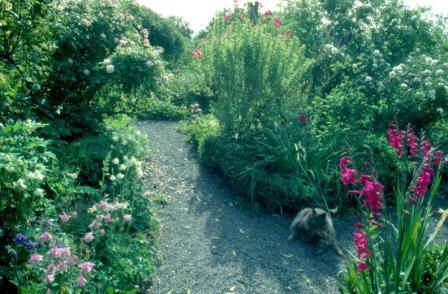 B3517 Gulf Station Garden
