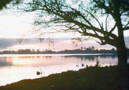 L10183 Lake Wendouree