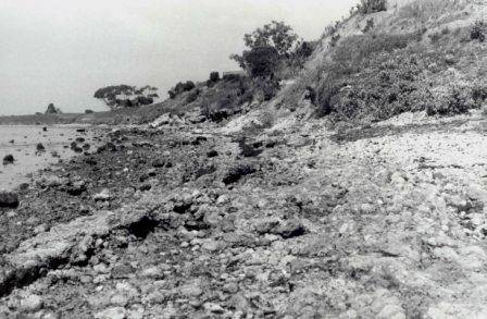 L10170 Limeburners Point